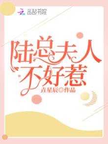 陆总夫人不好惹